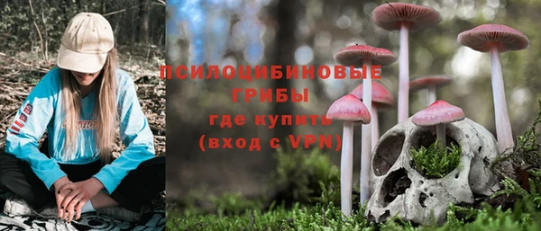 прущая мука Нея