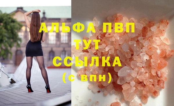 СК Нефтекумск