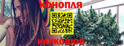 молекула духа Берёзовский