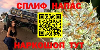 ПСИЛОЦИБИНОВЫЕ ГРИБЫ Беслан