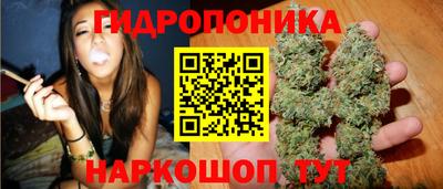 молекула духа Берёзовский
