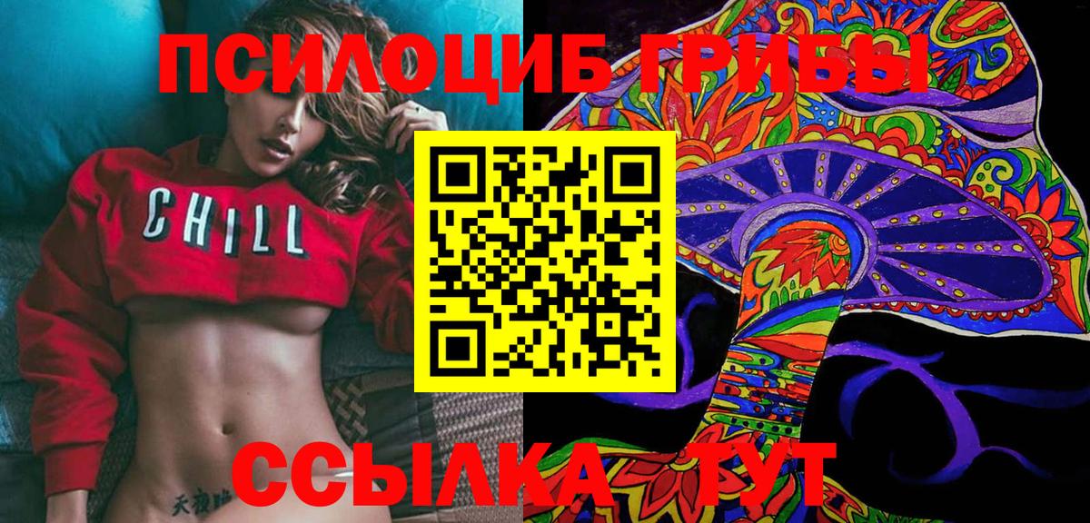 Псилоцибиновые грибы Cubensis Долгопрудный
