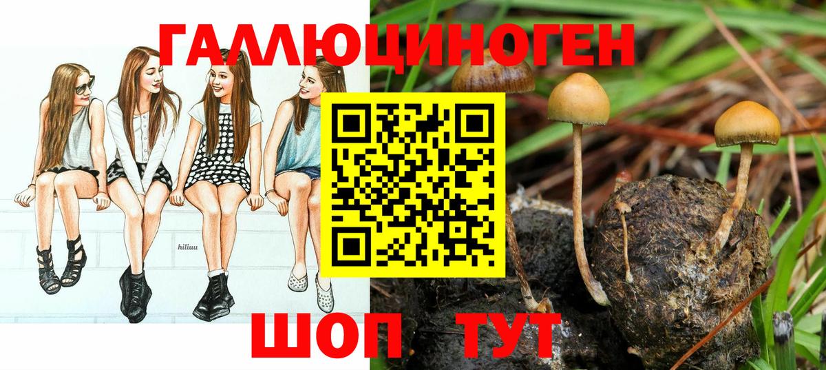 Псилоцибиновые грибы Psilocybine cubensis  где можно купить   Галлюциногенные грибы Cubensis  Долгопрудный  Вход с VPN 