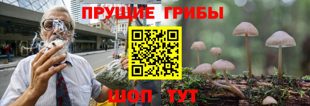 Галлюциногенные грибы мицелий  Долгопрудный  Псилоцибиновые грибы мицелий 