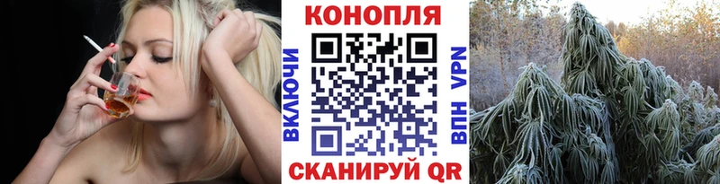 Каннабис индика  mega маркетплейс  Долгопрудный 